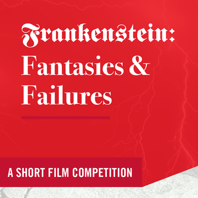 Fantasies and Failures poster