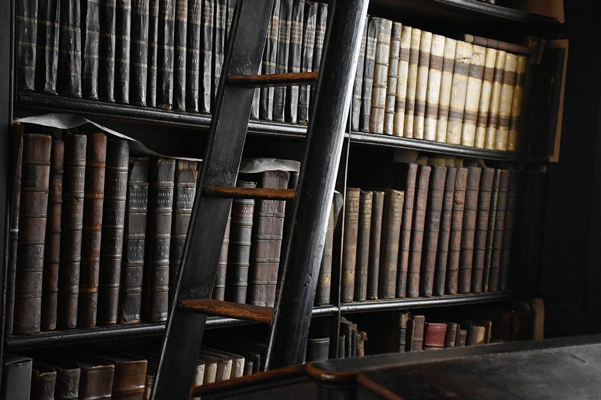 Ladder in a library