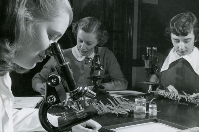 Students conduct research using microscopes in a Margaret Morrison Carnegie College biological sciences class. (c.1955)